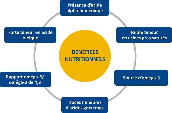 Bénéfices nutritionnels de l'huile Holl