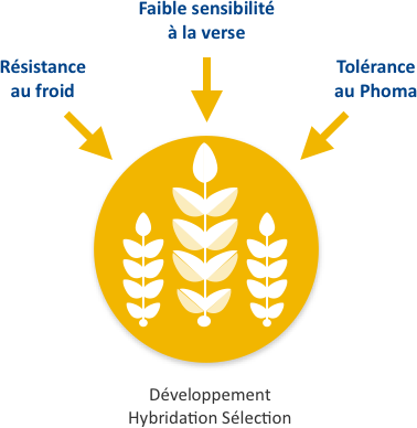 Performance Stability Schema